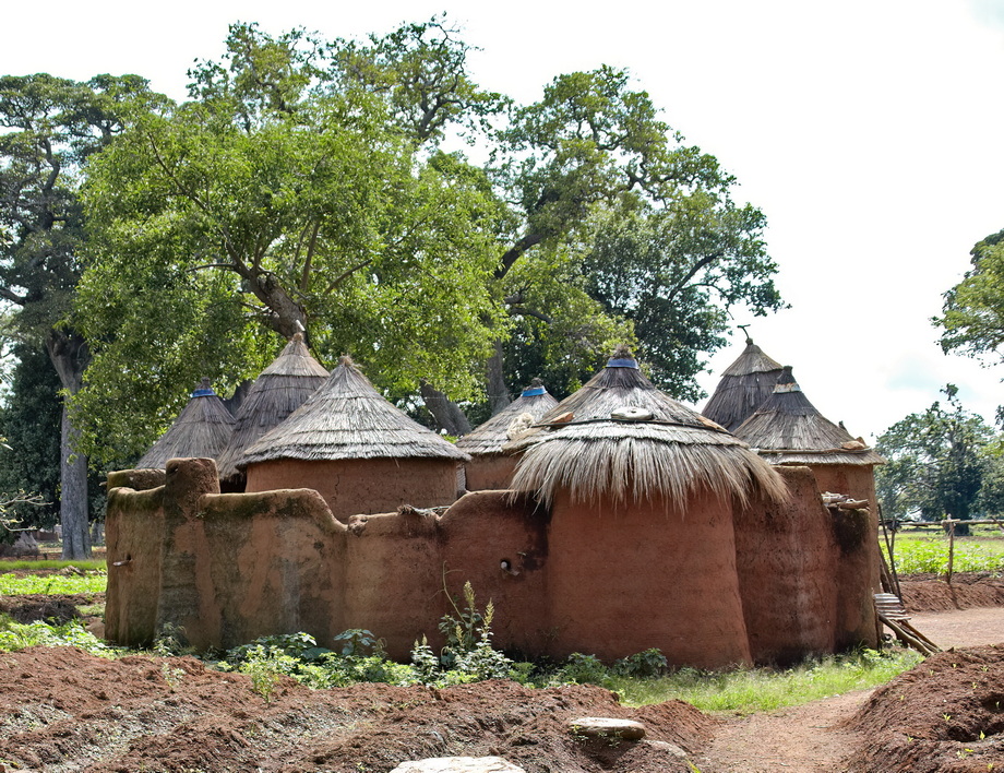 Tata Somba Architecture