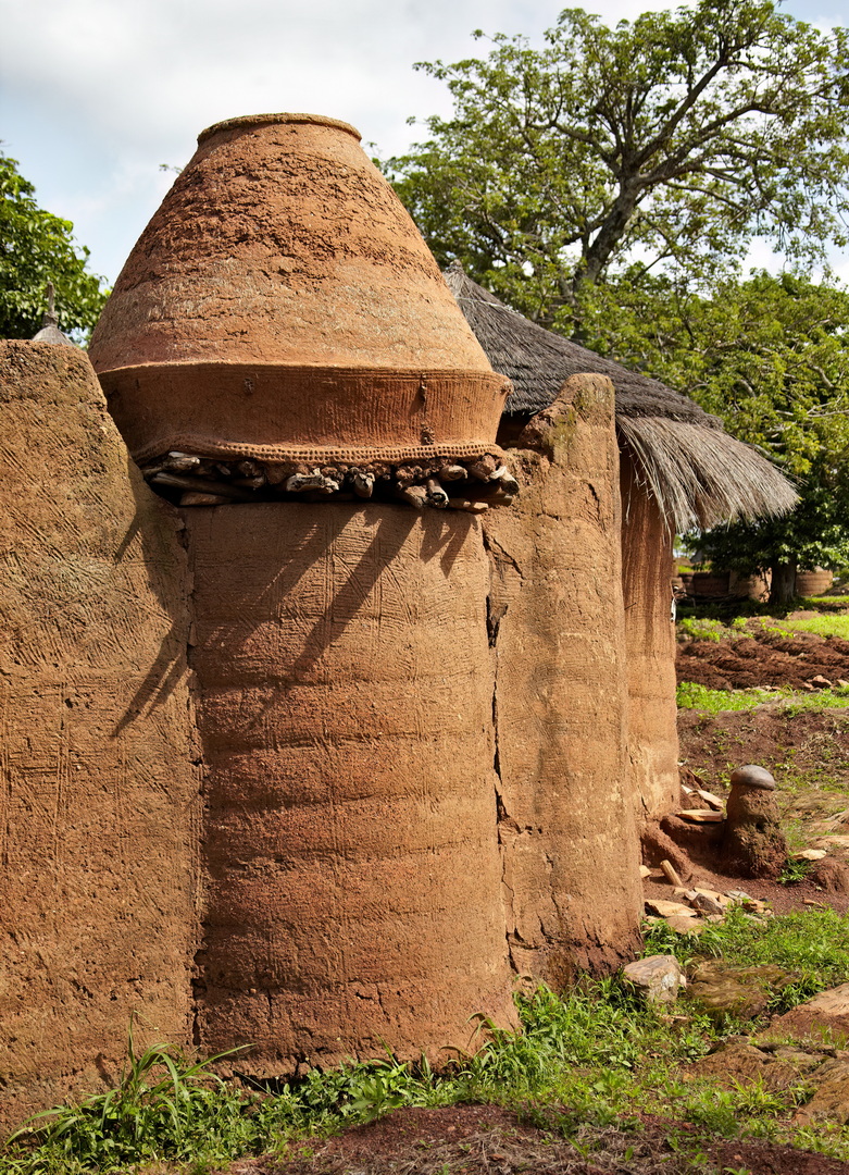 Tata Somba Architecture