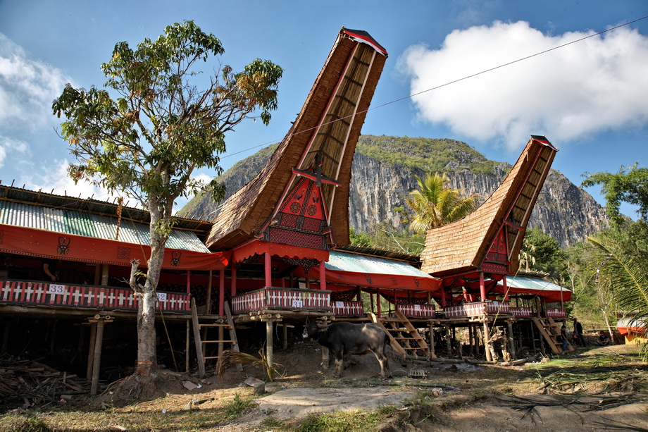 Toraja Architecture