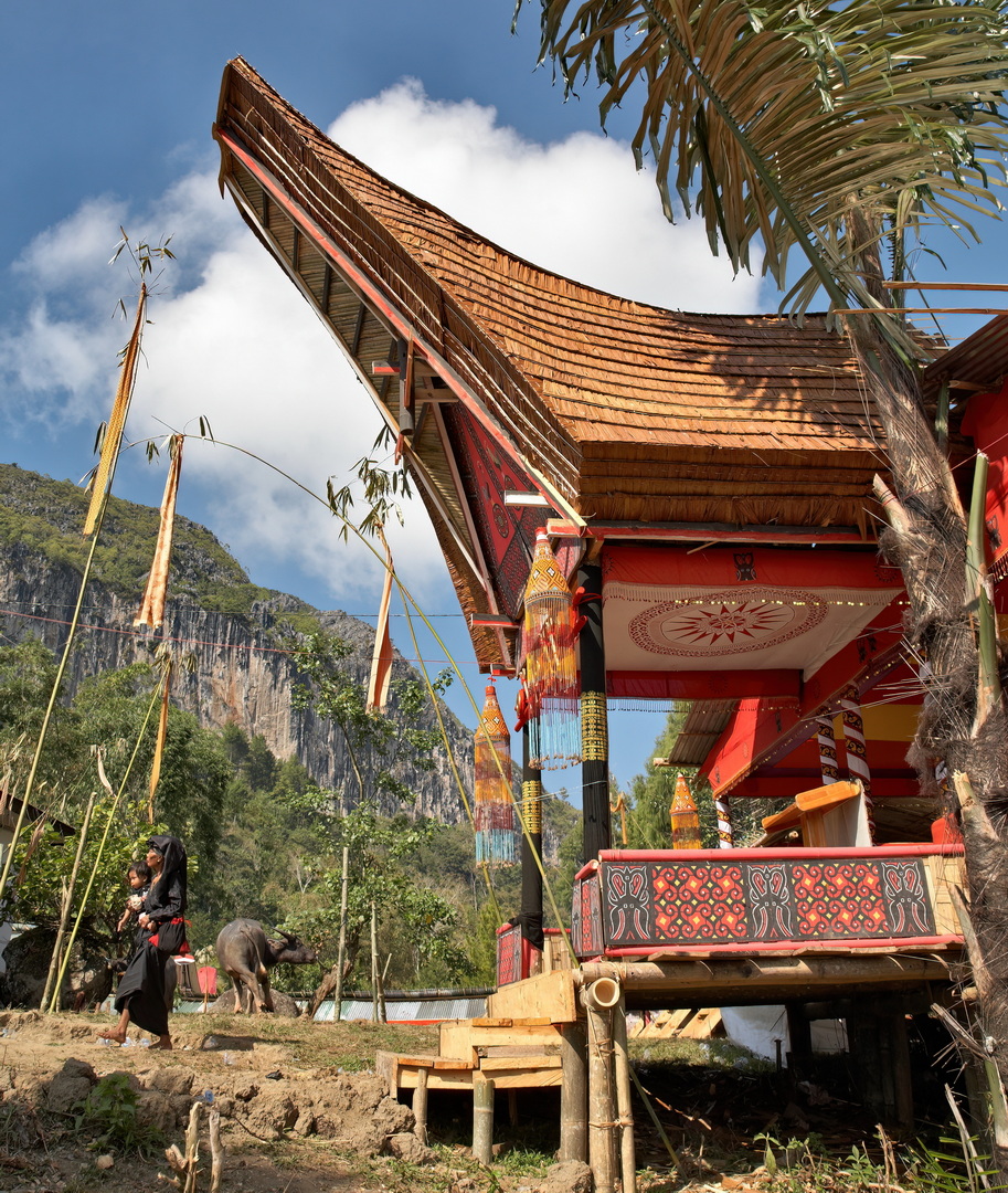 Toraja Architecture